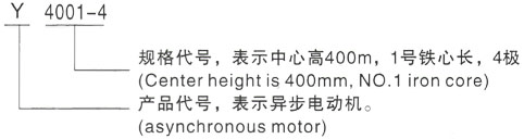 西安泰富西玛Y系列(H355-1000)高压YJTFKK450-2C三相异步电机型号说明