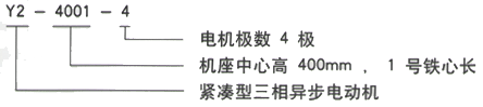 YR系列(H355-1000)高压YJTFKK450-2C三相异步电机西安西玛电机型号说明